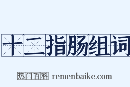 十二指肠组词是什么意思的图片